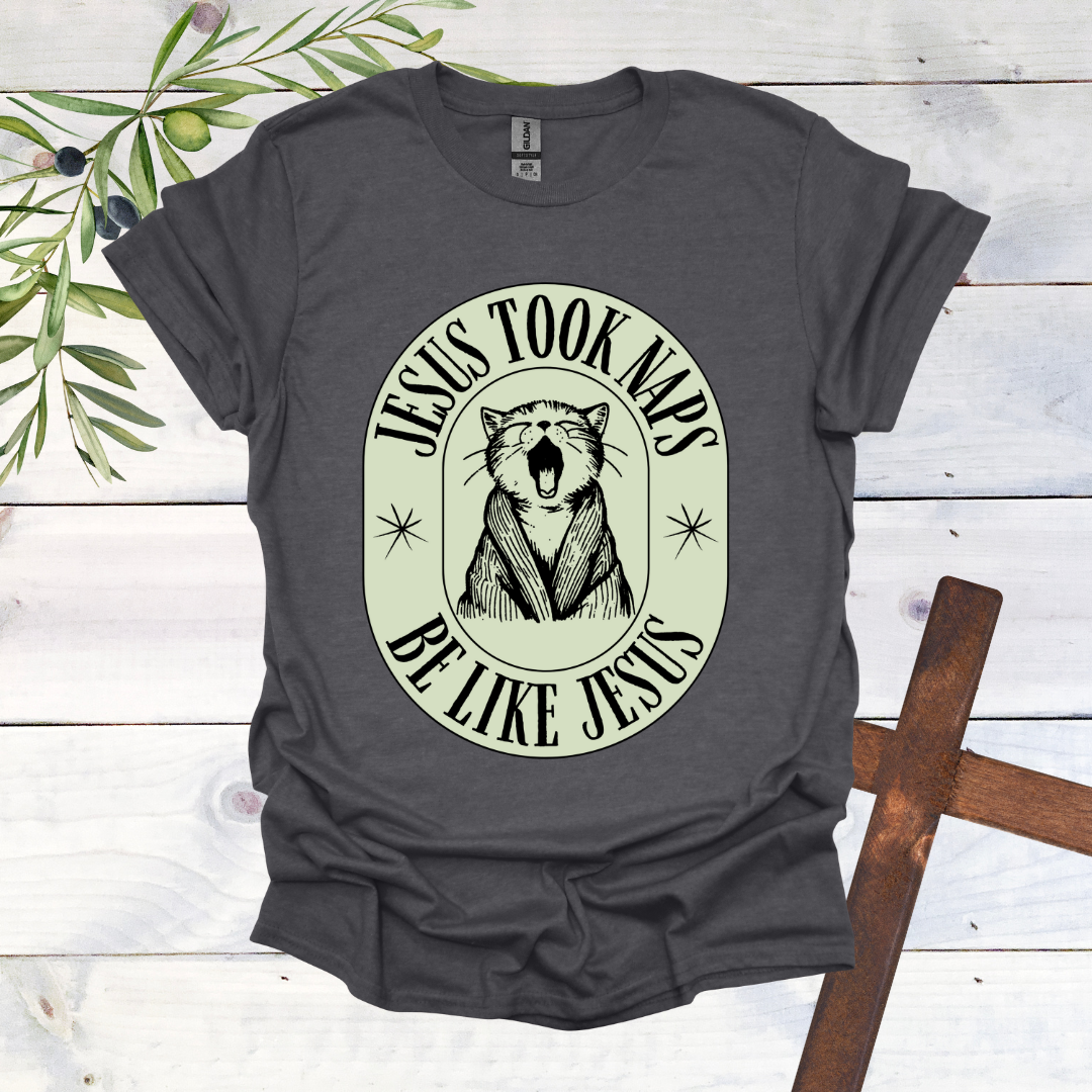 Jesus Took Naps CatT-Shirt